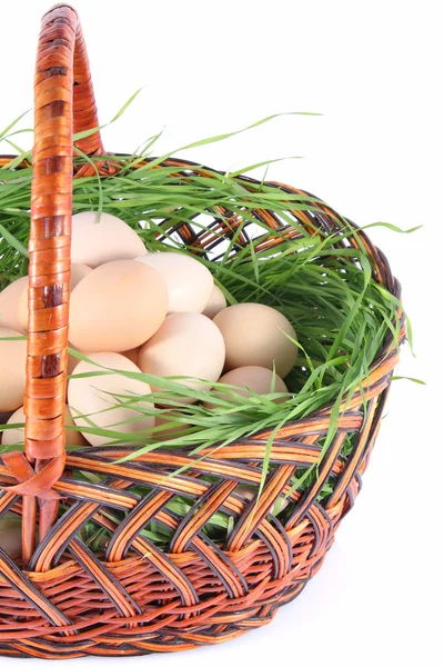 Свіжі куряче яйце — стокове фото
