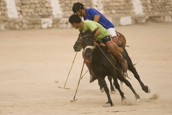 JOGO DE POLO — Fotografia de Stock