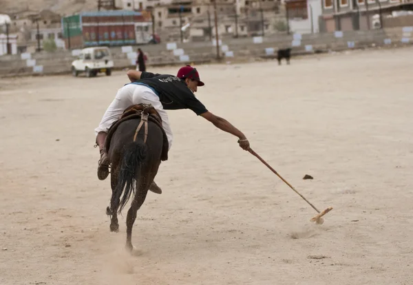 Jugar al polo — Foto de Stock