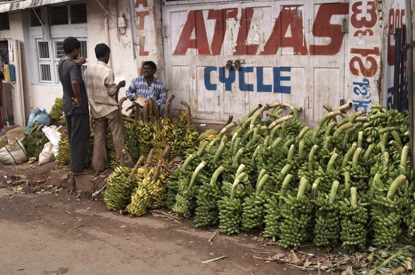 Green Bananas — Stock Photo, Image