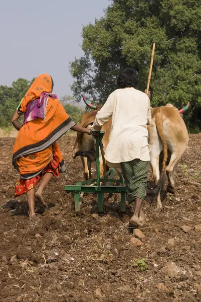 Índia rural — Fotografia de Stock
