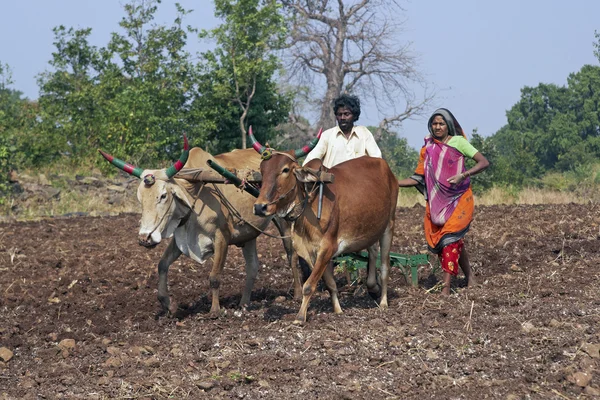 La vita nell'India rurale — Foto Stock