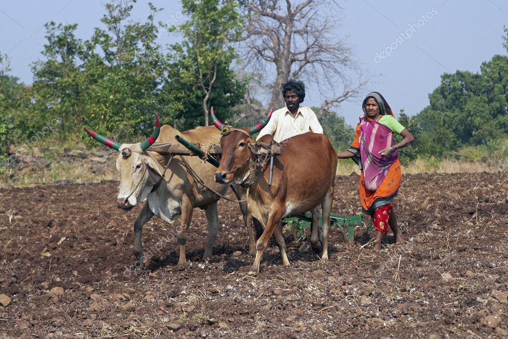 Life in Rural India — Stock Editorial Photo © richardsjeremy #10443170