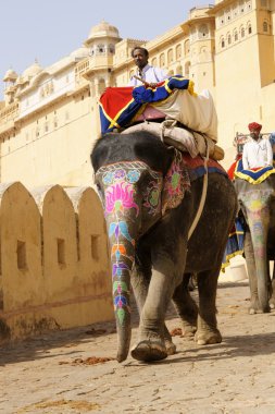 Mahout and Decorated Elephant at Amber Fort clipart