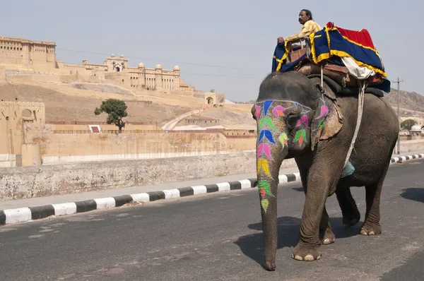 Taxi elefante a Amber Fort — Foto Stock