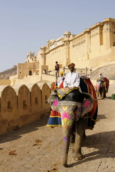 Zdobené slon v amber fort — Stock fotografie