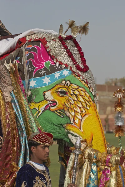 象祭り — ストック写真