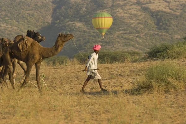 Ballon op de kameel pushkar fair — Stockfoto