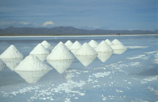 소금 호수 — 스톡 사진