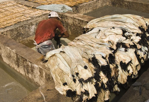 Tannery — Stock Photo, Image