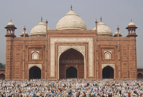 Adoração no Taj Mahal — Fotografia de Stock