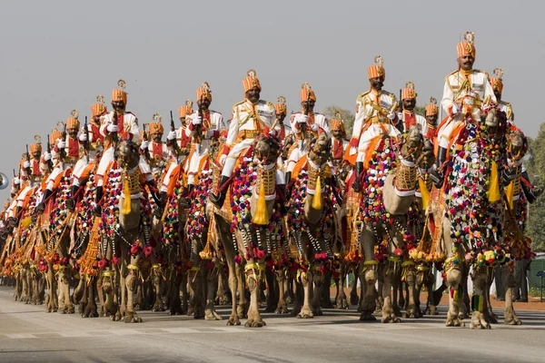 Camel corps op parade — Stockfoto