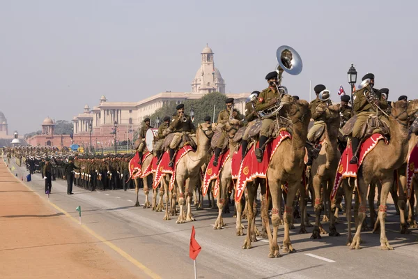 Banda del cuerpo de camellos — Foto de Stock