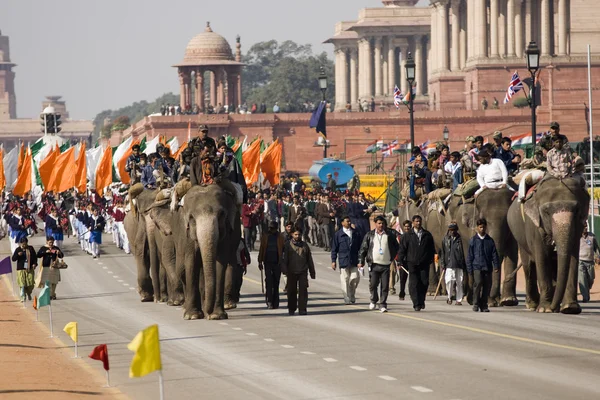 大象在共和国日游行 — 图库照片