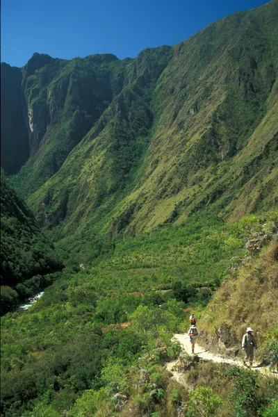 Inca Trail — Stock Photo, Image