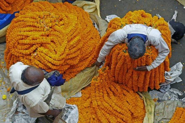 stock image Garland Sellers