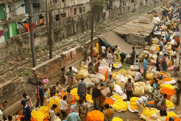 Calcutta bloemenmarkt — Stockfoto