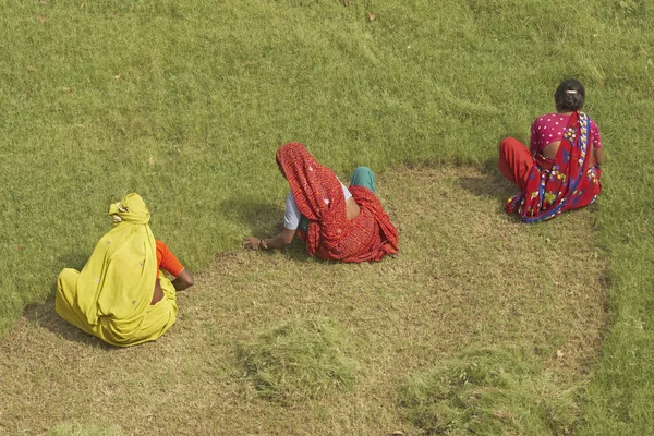 Cortadores de grama da Índia — Fotografia de Stock