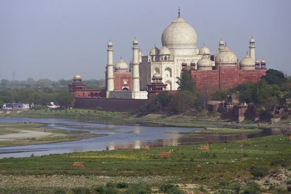 Mughal-hauta — kuvapankkivalokuva