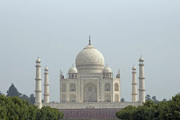 Taj Mahal da Dietro — Foto Stock