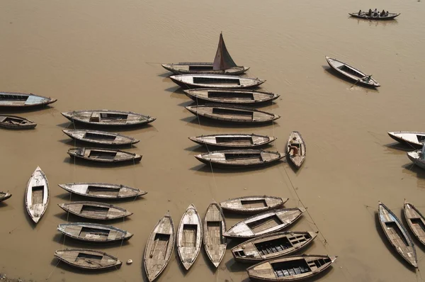 stock image Rowing Boats