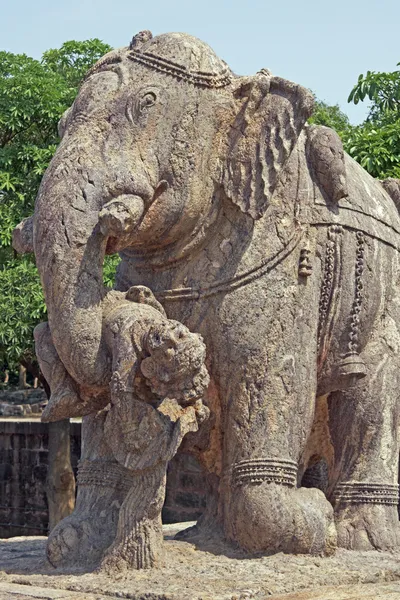 Elefante de guerra — Fotografia de Stock