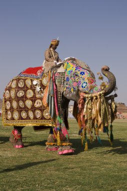 jaipur fil Festivali