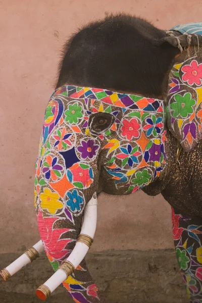 Elefante pintado — Foto de Stock