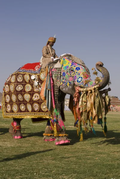 Das Jaipur Elefantenfest — Stockfoto