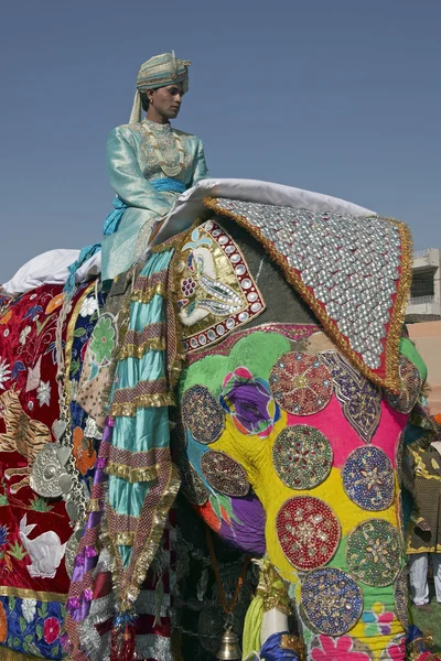 Mahout auf dekorierten Elefanten — Stockfoto