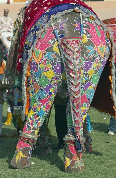 Geschmückter Elefant — Stockfoto
