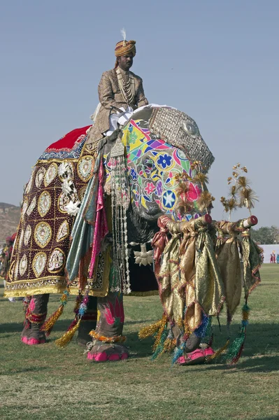 ジャイプール象祭り — ストック写真
