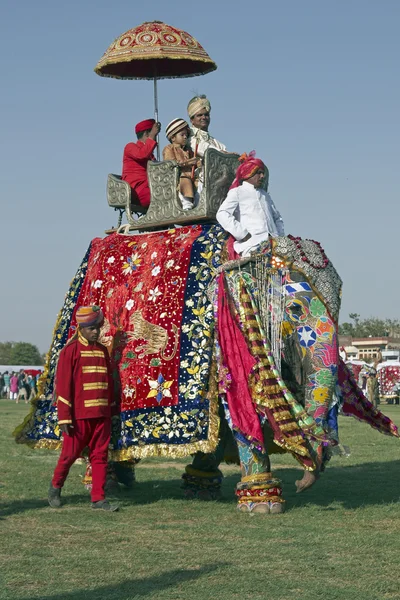 Jaipur sloní festival — Stock fotografie