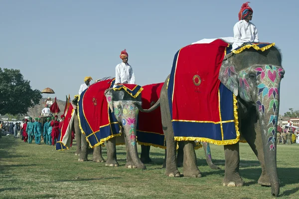 Elephant Festival Stock Picture
