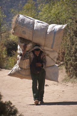 Nepal porter