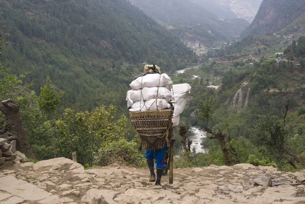 stock image Himalayan Porter