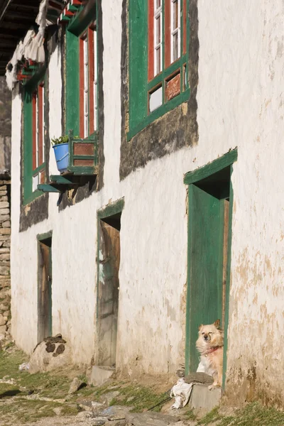 Tibetansk stil hus — Stockfoto