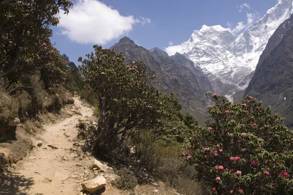 Trektochten in de himalaya-bergen — Stockfoto