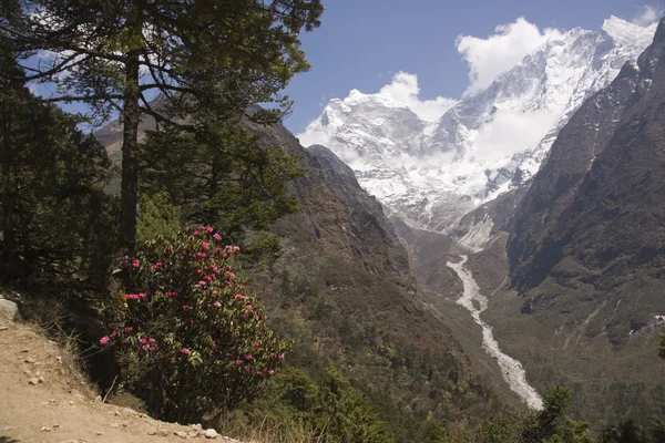 Trekking v Himalájích — Stock fotografie