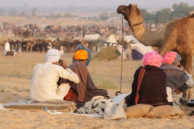 Pushkar deve Festivali