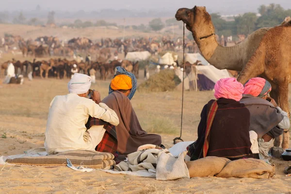 Festival del Cammello di Pushkar — Foto Stock