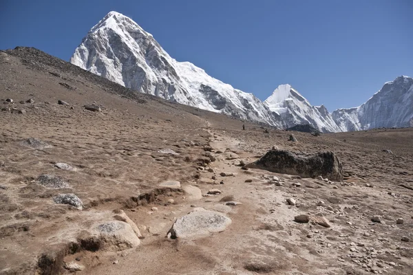 Chemin dans l'Himalaya — Photo