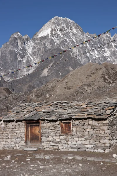Himalaya çiftlik evi — Stok fotoğraf