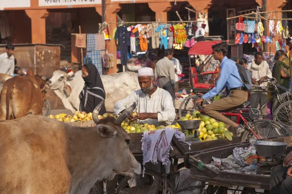 Индийская уличная сцена — стоковое фото
