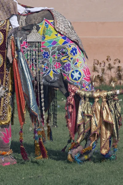 Zdobione Słoń indyjski — Zdjęcie stockowe