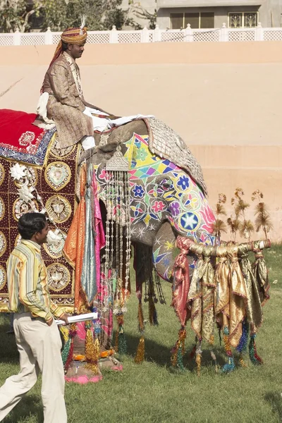 Elefante asiático decorado —  Fotos de Stock
