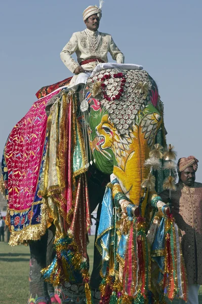 Zdobené slon indický — Stock fotografie