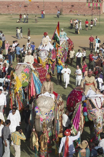 Elefantenfest — Stockfoto
