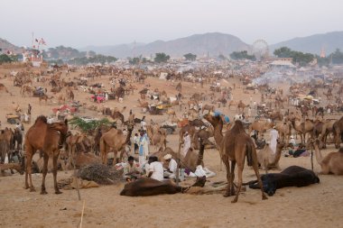 Pushkar Fair clipart