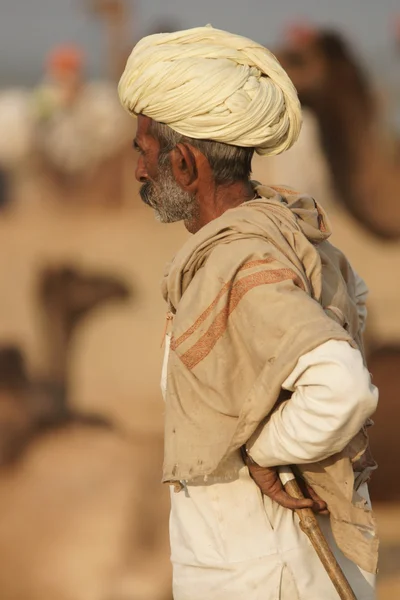 Rajasthani deve çobanı — Stok fotoğraf